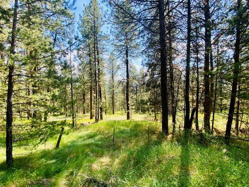 2890 Lower Lost Prairie Rd, Marion, MT, 59925-9804 | Card Image