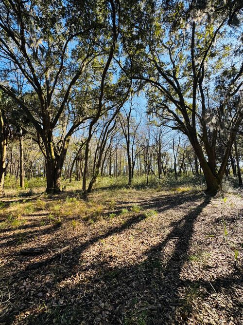 00 Rosa Scott Road, Edisto Island, SC, 29438 | Card Image