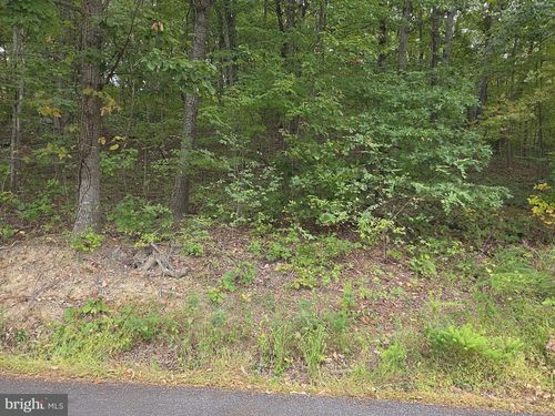 0 Drummer Hill Rd, FRONT ROYAL, VA, 22630 | Card Image