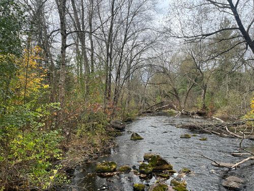 36+A On Old 13 Rd, Fifield, WI, 54555 | Card Image