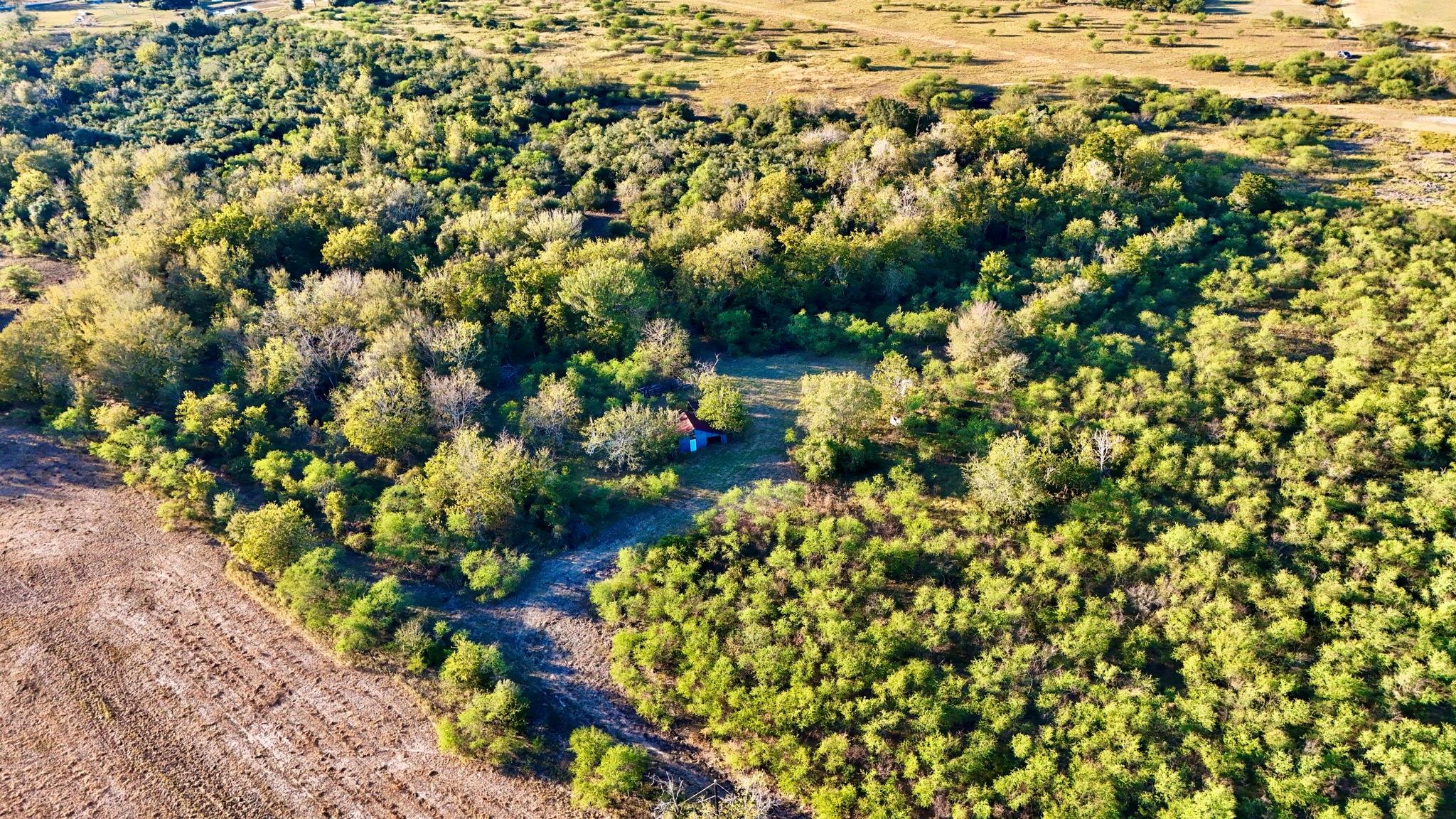 Farm in East Bernard 3