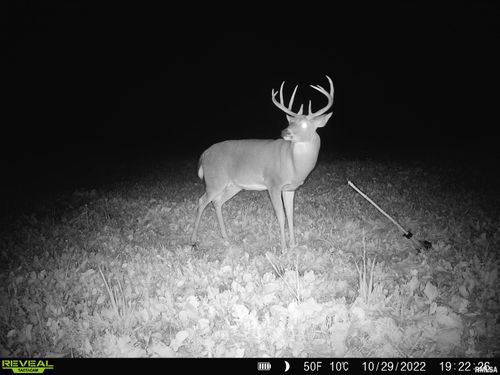 000 E Clay Road, Noble, IL, 62868 | Card Image