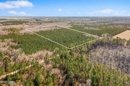 Lot 2 New Prospect Road, Chipley, FL, 32428 | Card Image