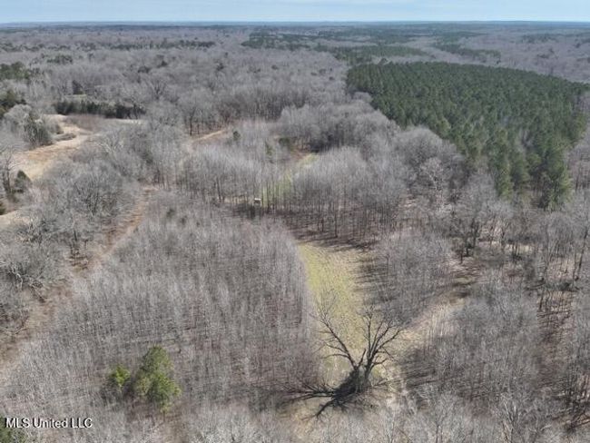 DJI_20250303113529_0017_V Medium | Image 21