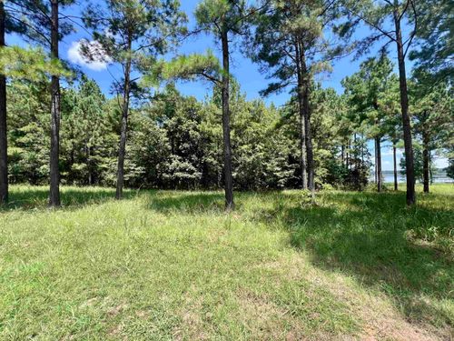 Lot 3 Eagle Rd, Lewisville, AR, 71845-7856 | Card Image