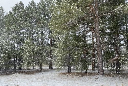 4 Spruce Hollow Trce, Fife Lake, MI, 49633 | Card Image