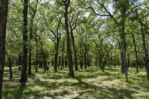 Lot 71 Anchor Pt, Quinlan, TX, 75474 | Card Image