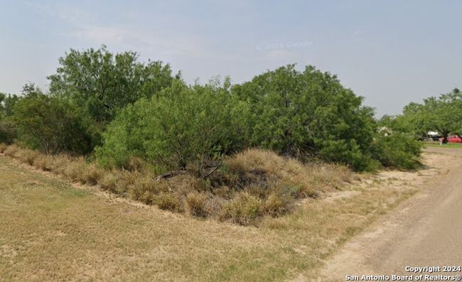 211 Hawk St, Home with 0 bedrooms, 0 bathrooms and null parking in ZAPATA TX | Image 4