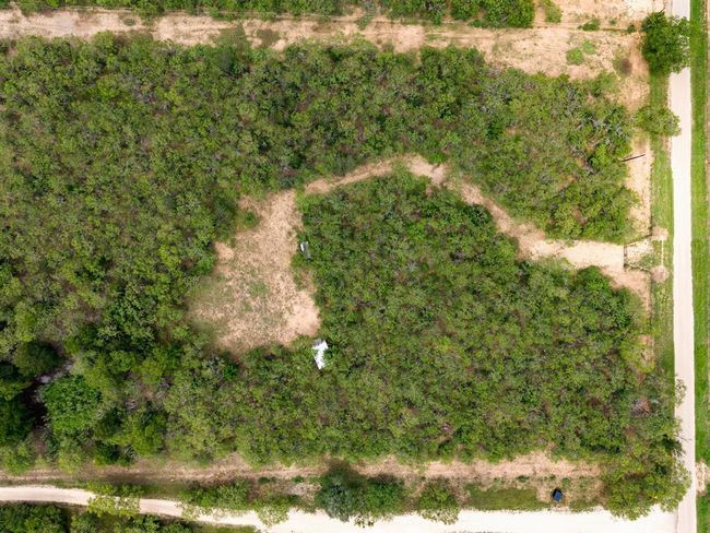 2065 Callihan Rd, Home with 0 bedrooms, 0 bathrooms and null parking in Luling TX | Image 6