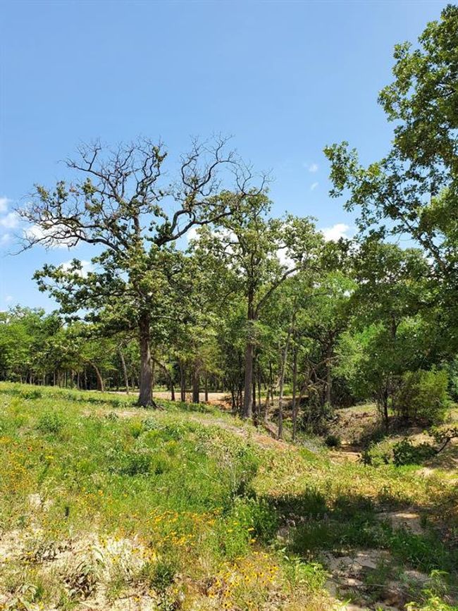 21 Cr 389, Home with 0 bedrooms, 0 bathrooms and null parking in Jewett TX | Image 8