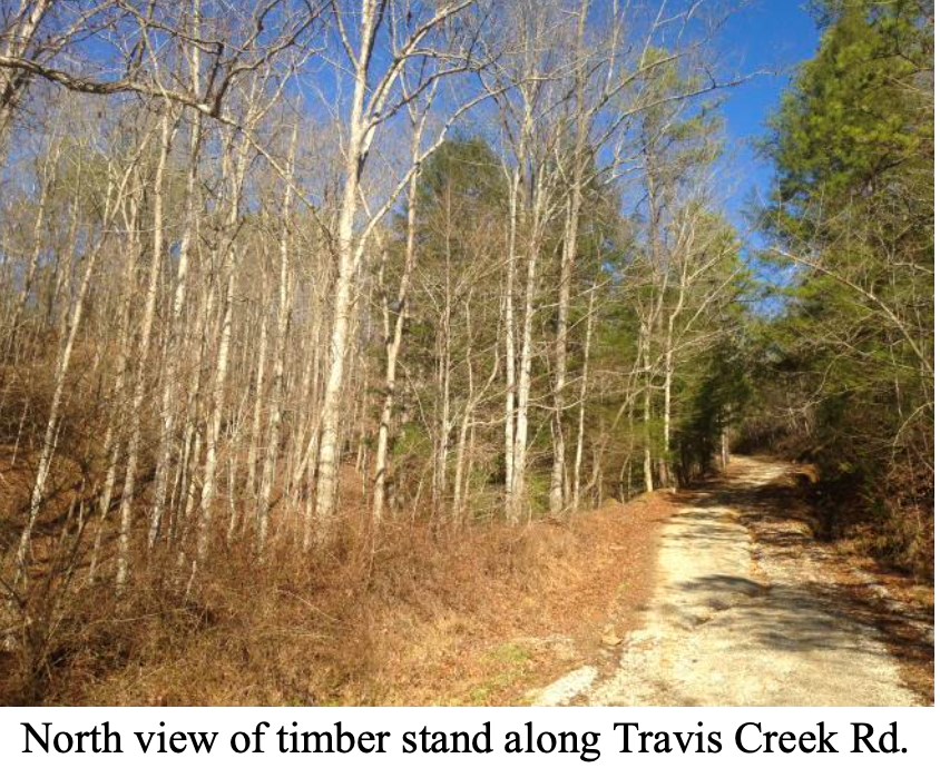 Land in Mckee 4