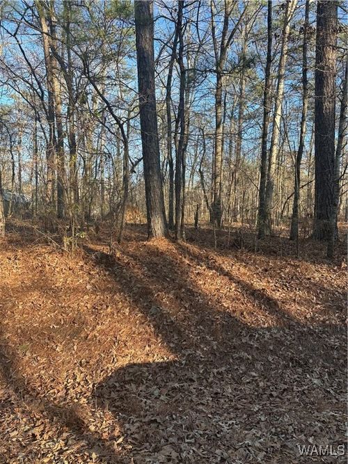 20 Marshall Dr, Mc Calla, AL, 35111 | Card Image