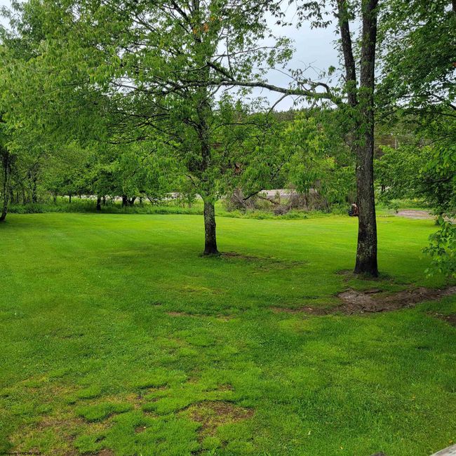 47 Rapp Dr, House other with 3 bedrooms, 2 bathrooms and 3 parking in Davis WV | Image 16