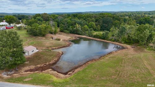 0000 Tulip Ln, Vienna, IL, 62995 | Card Image