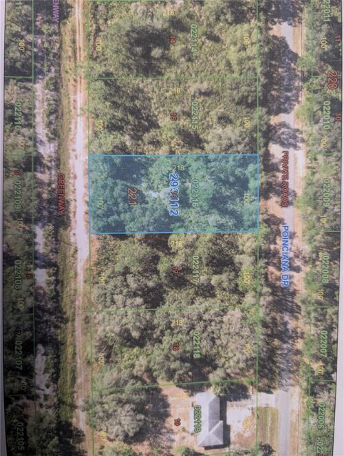 917 Poinciana Drive, Indian Lake Estates, FL, 33855 | Card Image