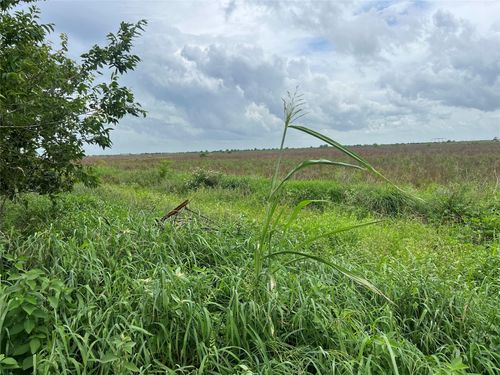 00 Beal Rd, Eagle Lake, TX, 77434 | Card Image