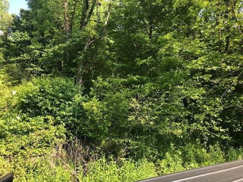 00 Long Creek Rd, Robbinsville, NC, 28771 | Card Image