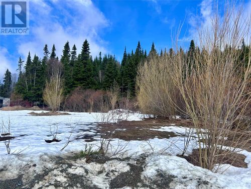 0 River Rd, Gallants, NL, A0L1G0 | Card Image