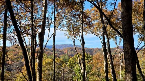 5 Gold Ridge Trail, Cherry Log, GA, 30522 | Card Image