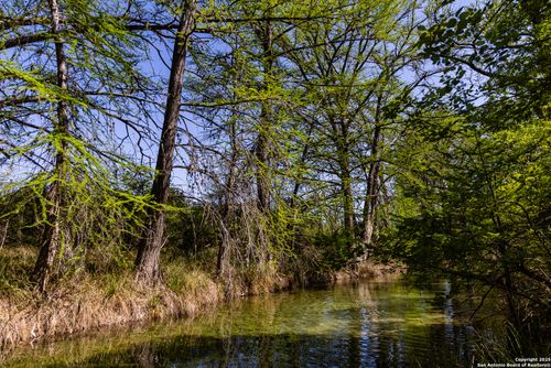 816 Cornelius Rd, Utopia, TX, 78884 | Card Image