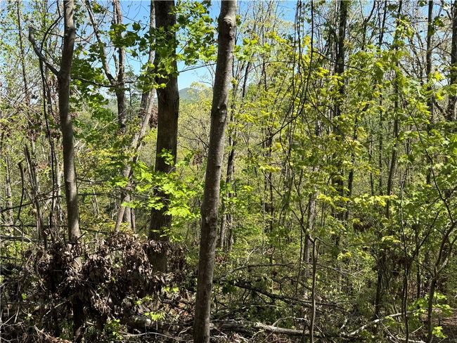 113 Stone Creek Ct, Home with 0 bedrooms, 0 bathrooms and null parking in Pickens SC | Image 7