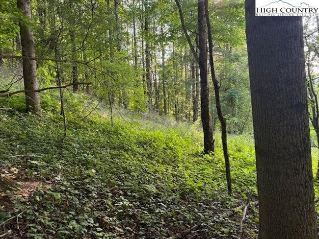 1 Oak Trail, Home with 0 bedrooms, 0 bathrooms and null parking in Creston NC | Image 18