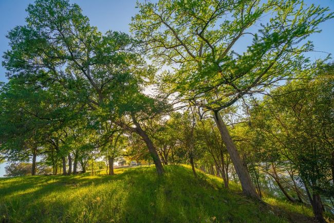 View of landscape | Image 12
