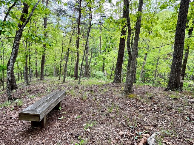 388 Hemlock Ridge Lane, Catawba | Image 84