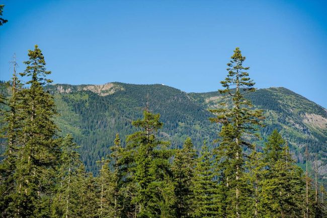 View of mountain backdrop with a heavily wooded area | Image 61