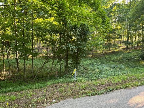 00 V/L Potter Road, Bear Lake Township, MI, 49614 | Card Image