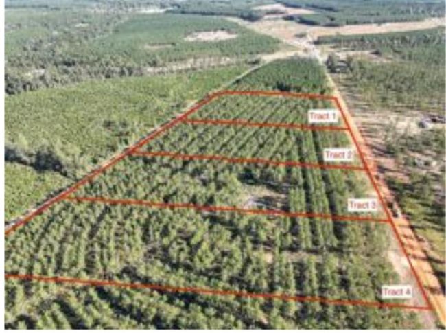 0 Richardson Rd E, Home with 0 bedrooms, 0 bathrooms and null parking in Livingston TX | Image 6