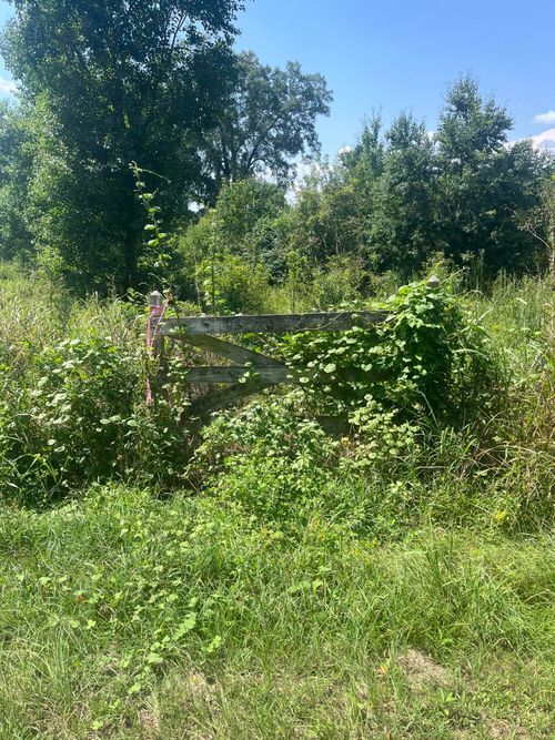 TBD George Boutwell Rd, Ovett, MS, 39464 | Card Image