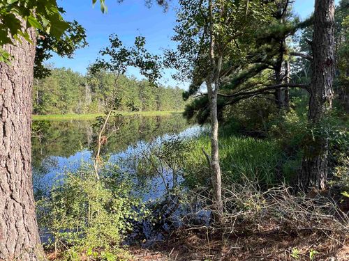 0 Private Road 5170, Kirbyville, TX, 75956 | Card Image