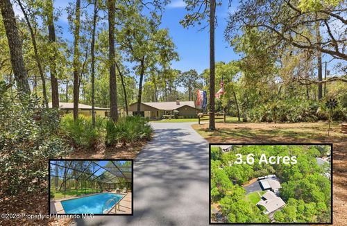 9032 Birmingham Ave, WEEKI WACHEE, FL, 34613-4446 | Card Image