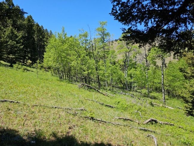 634 Clancy Creek   Corbin Road, Home with 0 bedrooms, 0 bathrooms and null parking in Clancy MT | Image 7