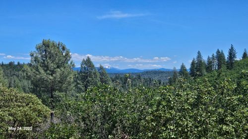 24536 Gold Run Rd, Bella Vista, CA, 96008 | Card Image