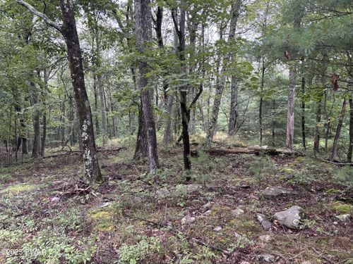 Lot 785 Jack Pine Dr, Dingmans Ferry, PA, 18328 | Card Image