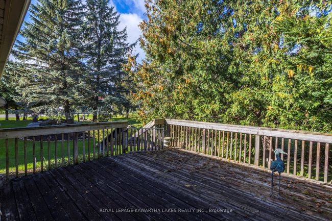 3 Squires Row, House other with 4 bedrooms, 3 bathrooms and 4 parking in Bobcaygeon ON | Image 38