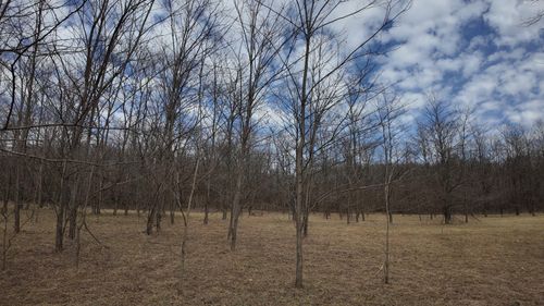 Lt1 Freedom Rd, Oxford, WI, 53952 | Card Image