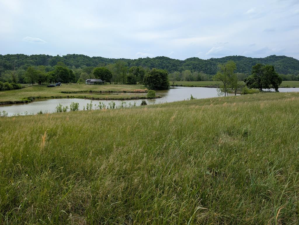 Land in Burkesville
