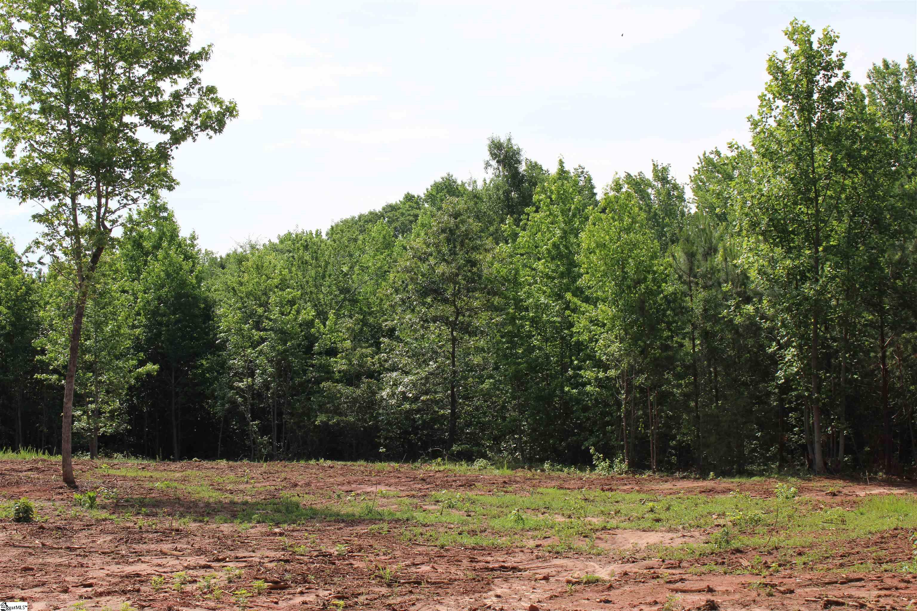 Land in Fountain Inn 4