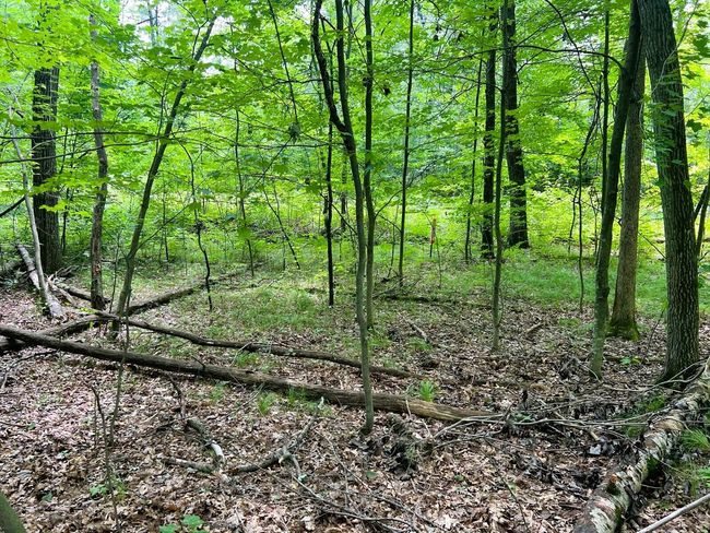 Lt0 Airport Rd, Home with 0 bedrooms, 0 bathrooms and null parking in Shawano WI | Image 6