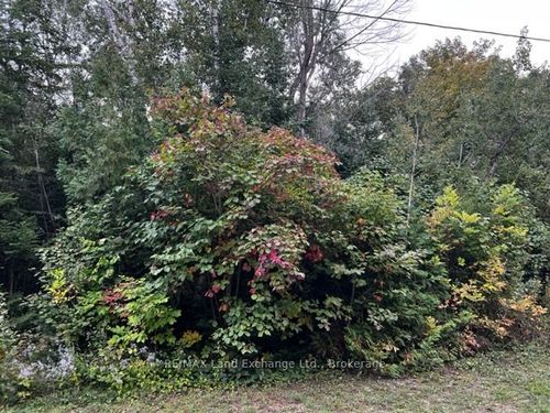 5 Shore Rd, Southampton, ON, N0H | Card Image