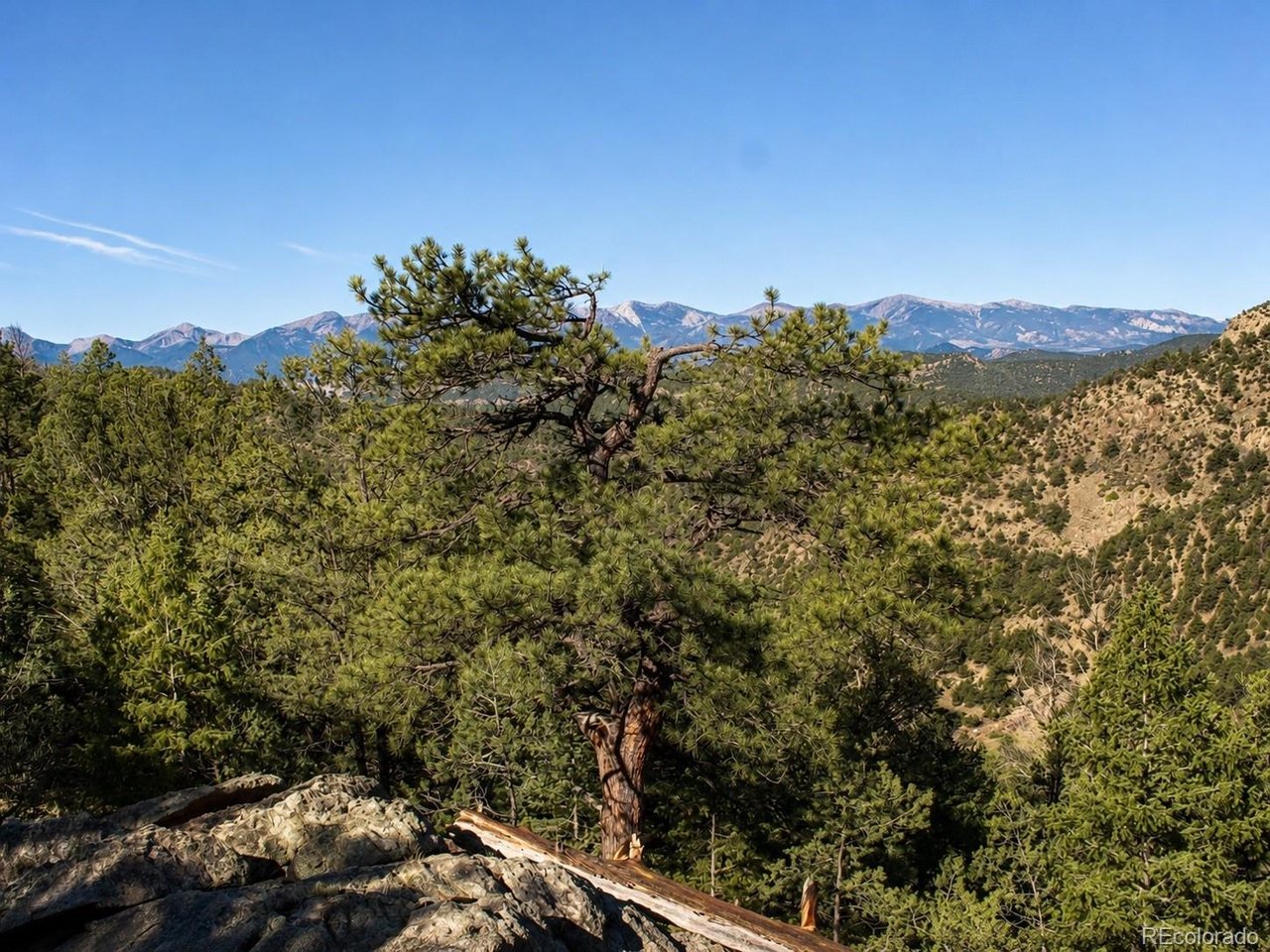 Land in Westcliffe 4