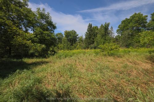 0 County Rd 29, Lakefield, ON, K0L2H0 | Card Image