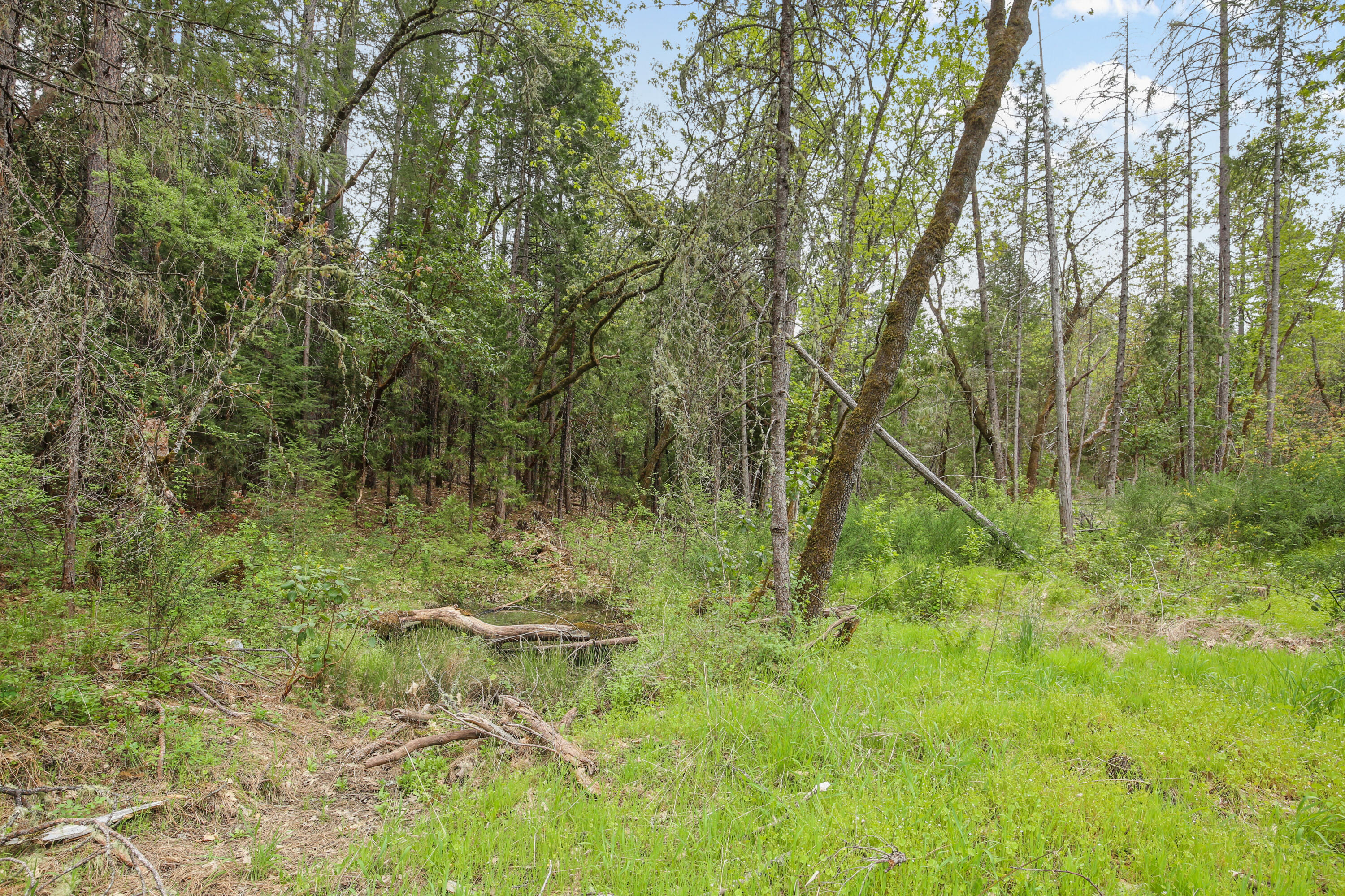 Land in Grants Pass 4
