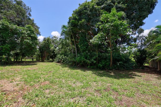 59-439 Alapio Rd, Home with 0 bedrooms, 0 bathrooms and null parking in Haleiwa HI | Image 9