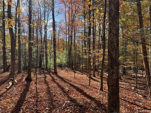 TBD Cross Patch Road, Woodstock, NY, 12498 | Card Image