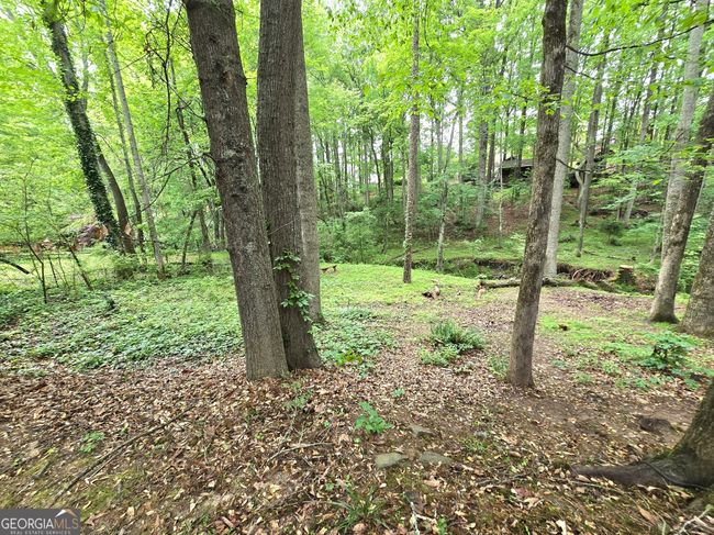80 Jacksons Vly, House other with 4 bedrooms, 4 bathrooms and null parking in Sharpsburg GA | Image 31