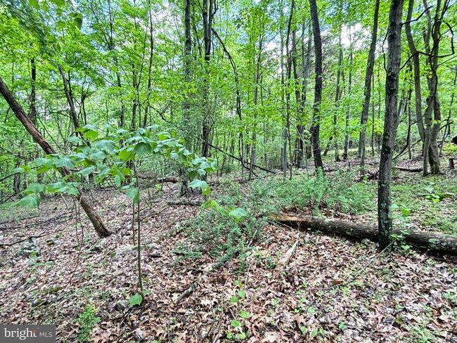 LOT 4 Yost Rd, Home with 0 bedrooms, 0 bathrooms and null parking in New Creek WV | Image 7